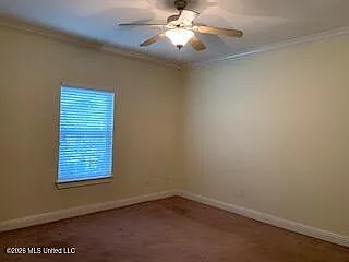 1334 Tropical Cv — Photo 10