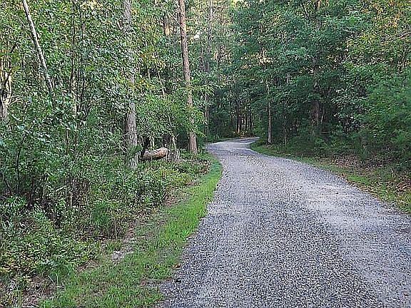 3rd image of 436 Iroquois Trl