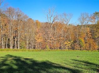 1100 Courtney Hill Rd, Marathon, NY 13803