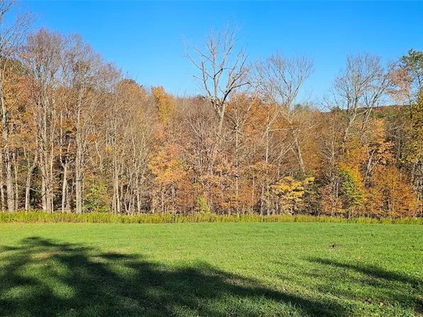 1100 Courtney Hill Rd, Marathon, NY 13803