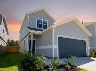 13774 Sunshine Peak Dr, Willis, TX 77318