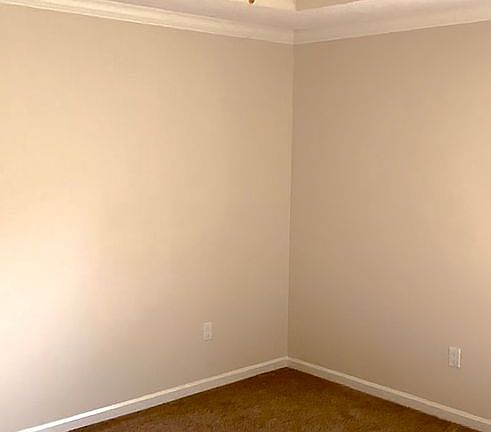 Trey ceiling in master bedr