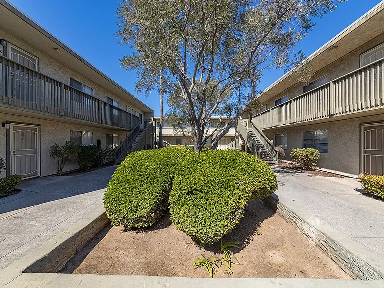 Olive Tree Manor — Photo 10