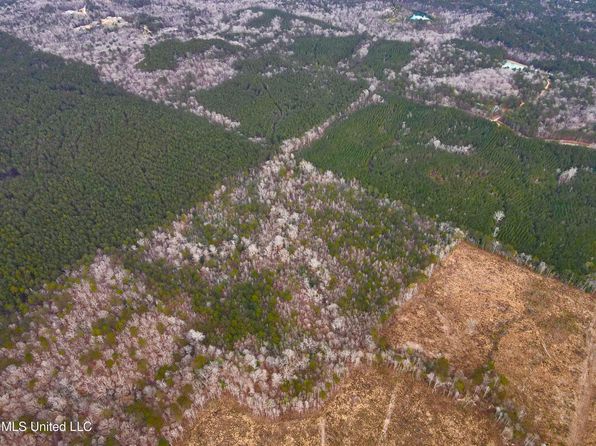Pea Ridge Rd, Harrisville, MS 39082