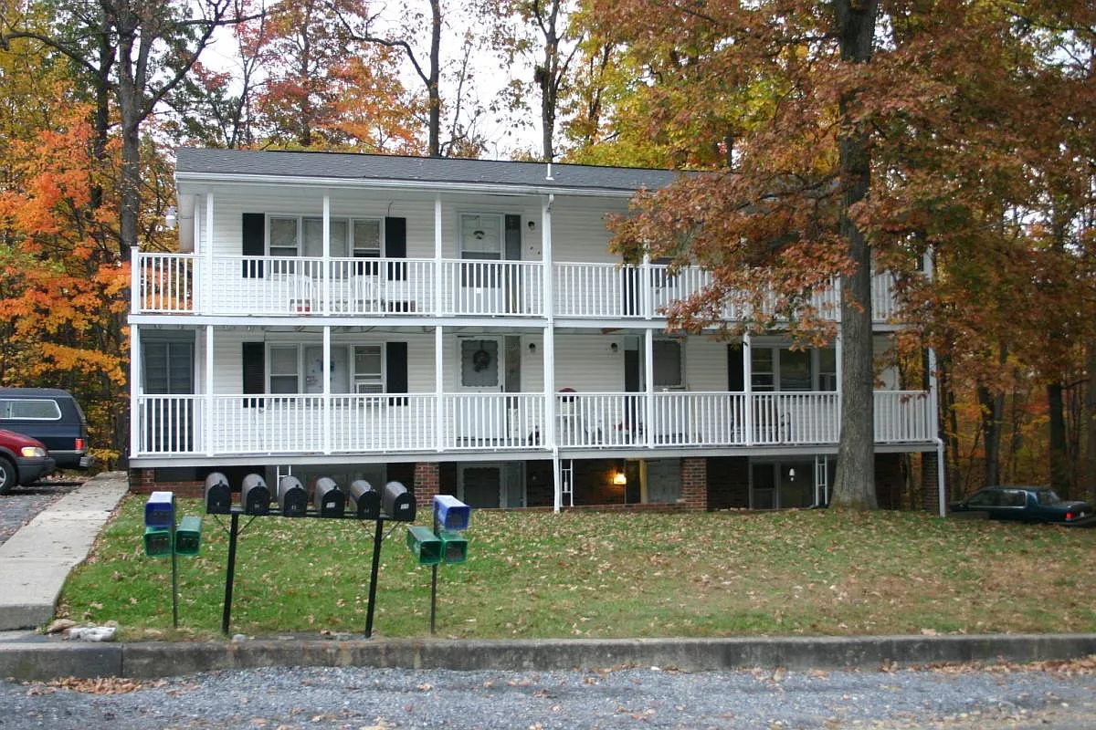 1 bed, $900 — Photo 1