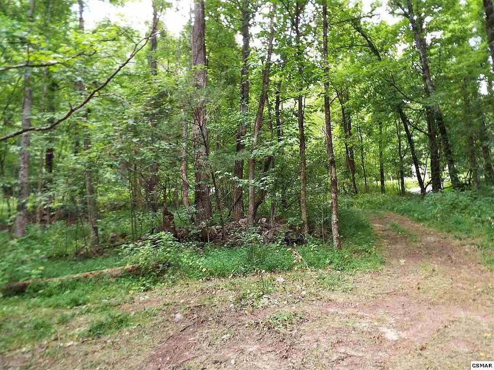 1st image of 653 Timber Lake Dr