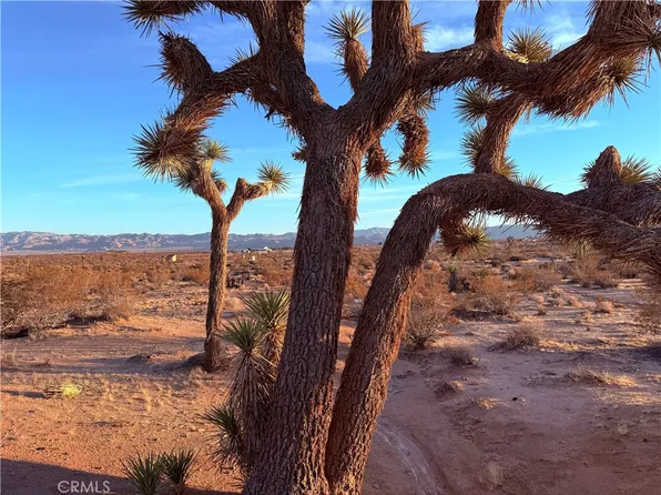2700 Del Sol Ave #111, Joshua Tree, CA 92252