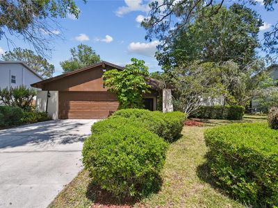 16503 W Course Dr, Tampa, FL, 33624