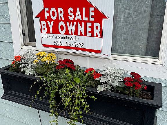 Window boxes with irrigation