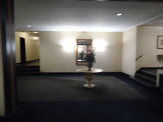 Sold by The Coop Connection LLC | media 12