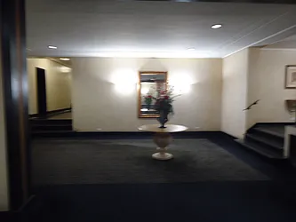 Sold by The Coop Connection LLC