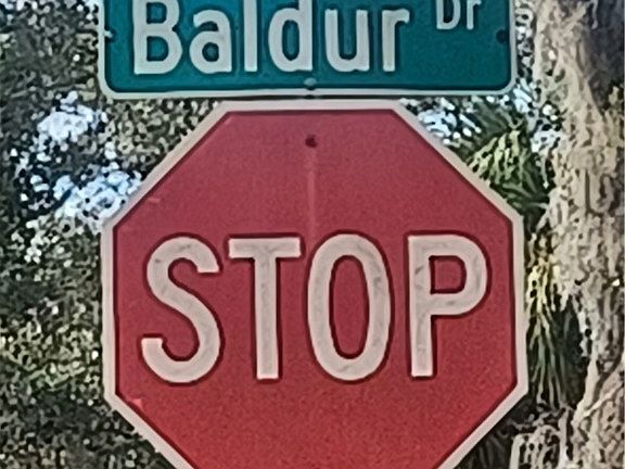 2nd image of 141 Baldur Dr