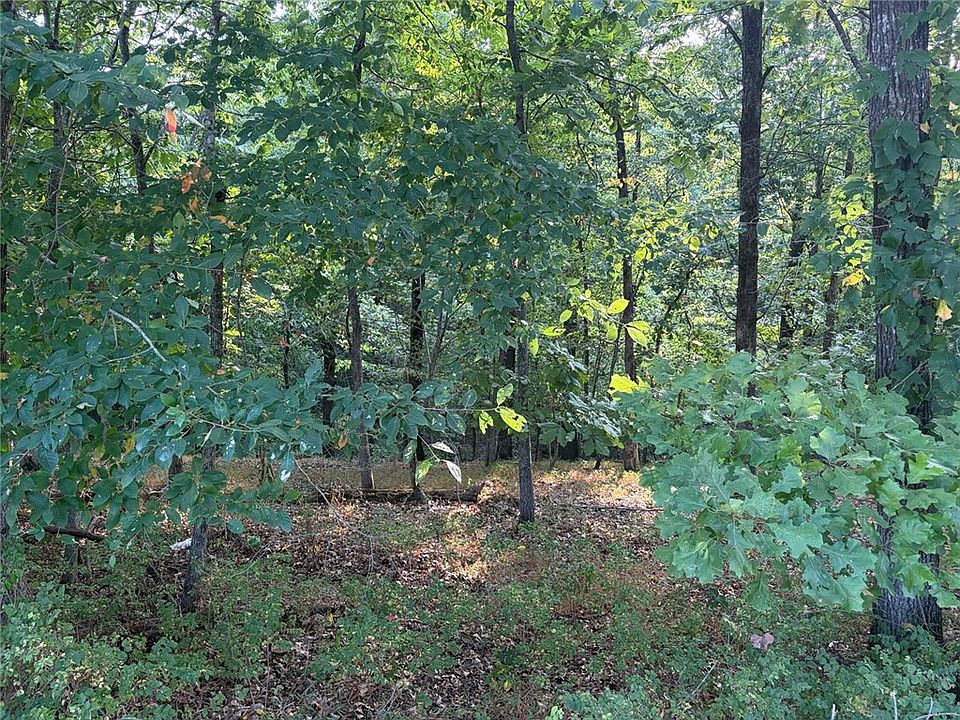 2nd image of Panorama Rd