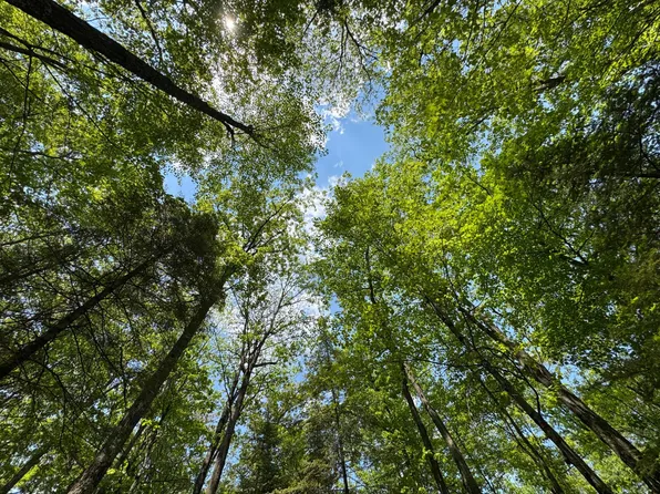 309/310 Deerwood Dr, Minocqua, WI 54548