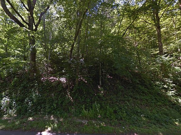 2nd image of 861 Bugscuffle Rd