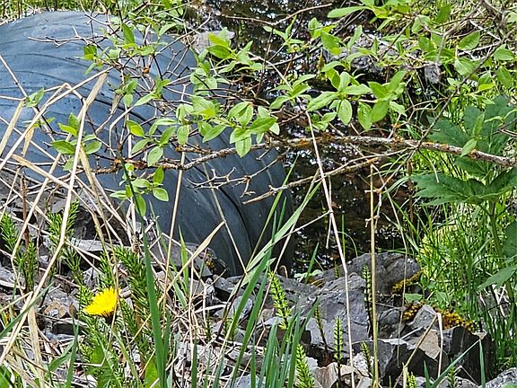 5th image of 18866 Copper Ridge Trl