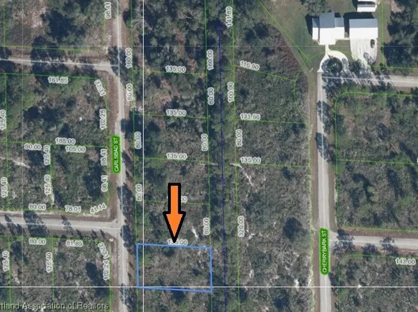1005 Carlsbad St, Lake Placid, FL 33852