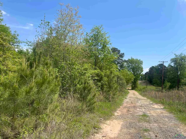 2687 W Camp Switch Rd, Longview, TX 75604