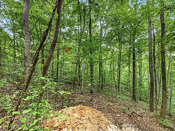 2nd image of 0 Timber Ridge Ln Lot 25&26