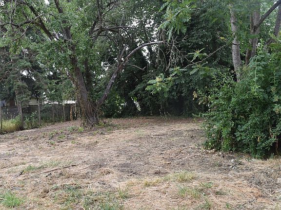 3rd image of 109 McClure Ln