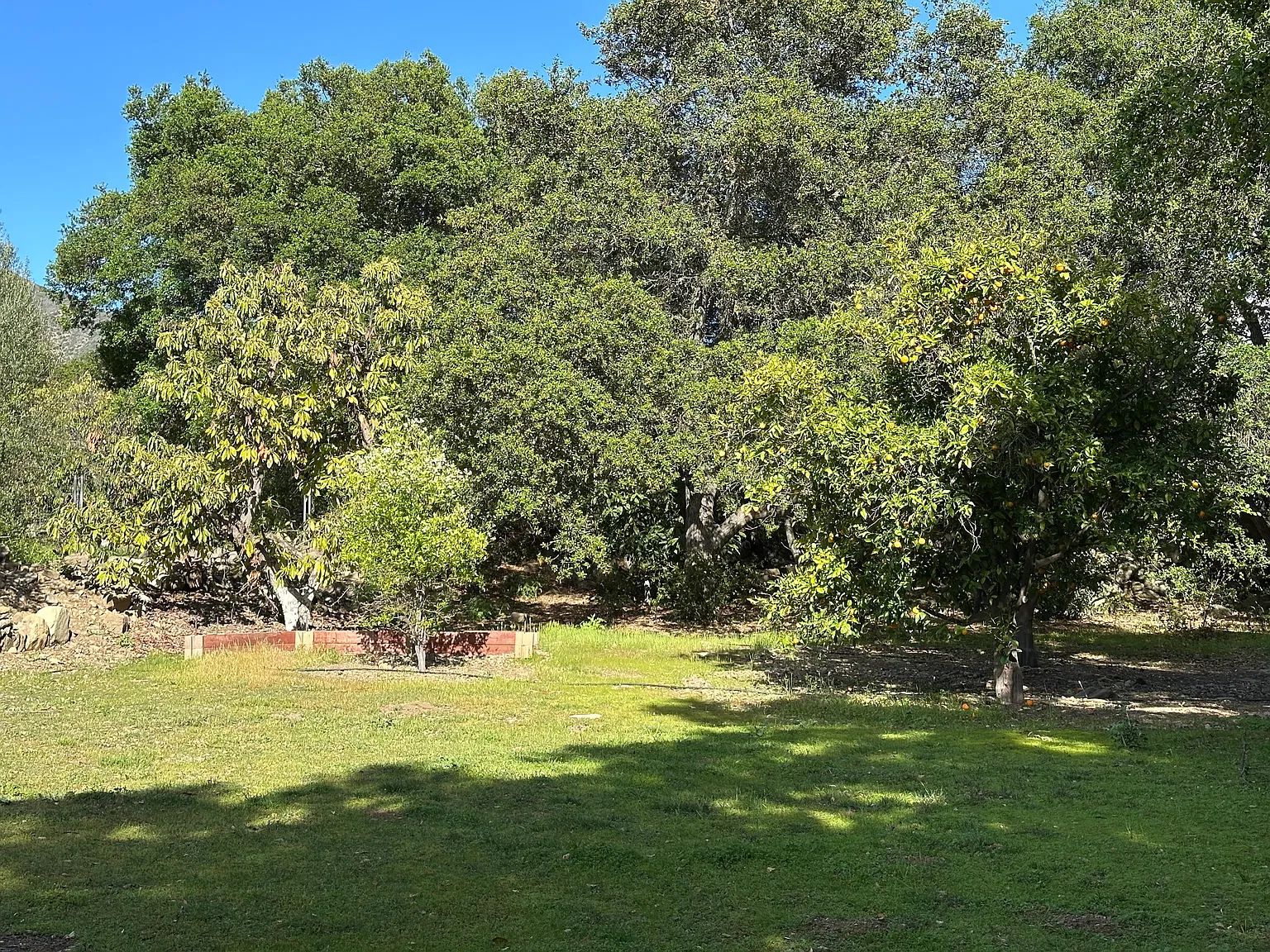 4210 Hendrickson Rd — Photo 3