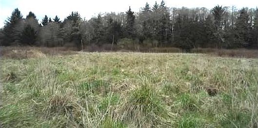 5th image of 20 Dusty Ln