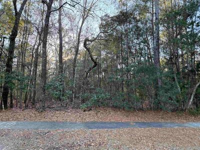 97 Madison Dr. Lot 97, Georgetown, SC, 29440