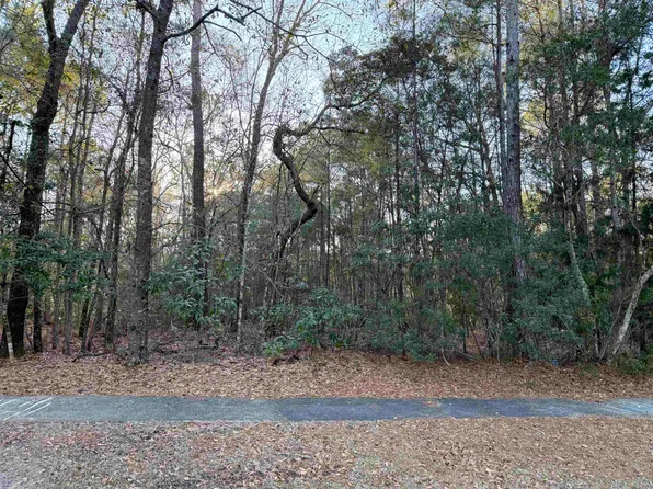 97 Madison Dr. Lot 97, Georgetown, SC 29440