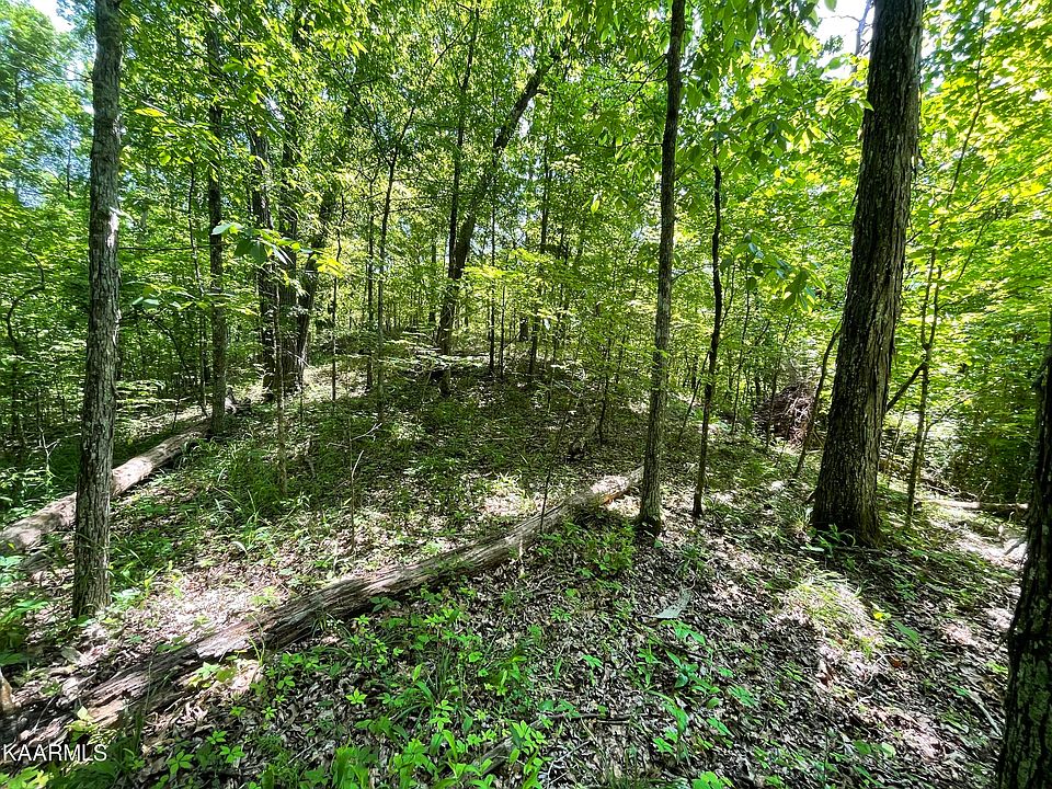 2nd image of Deaderick Rd