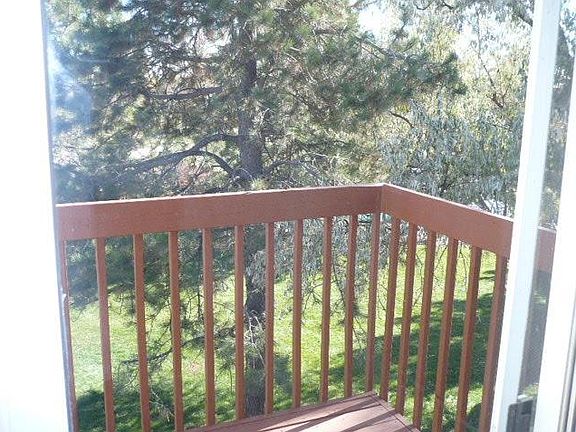 Back deck view