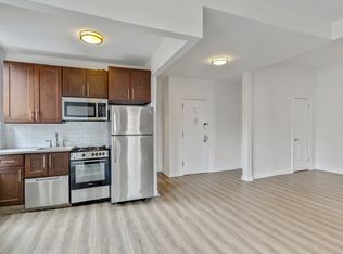 181 Mac Dougal St #3RE, Brooklyn, NY 11233