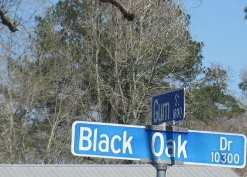 4th image of 10267 Black Oak Dr