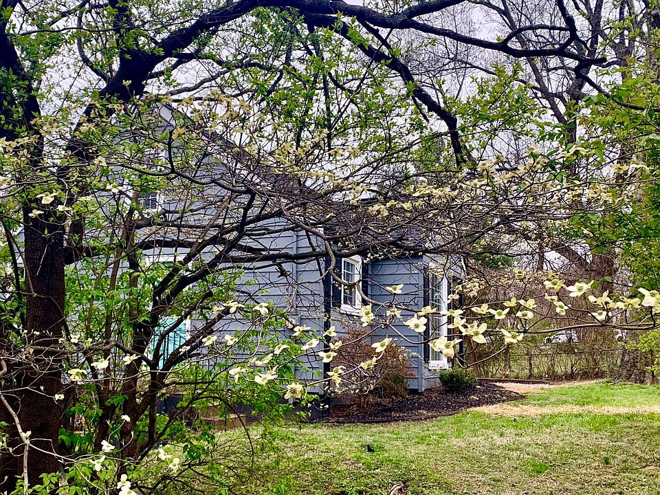 From the side through dogwood tree