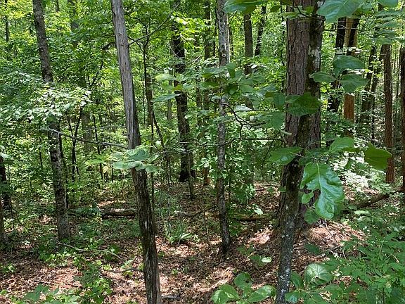 2nd image of 0 Pine Dr