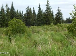 22194 Sonny St, Ninilchik, AK 99639
