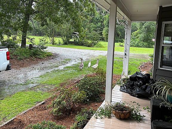Looking off front porch