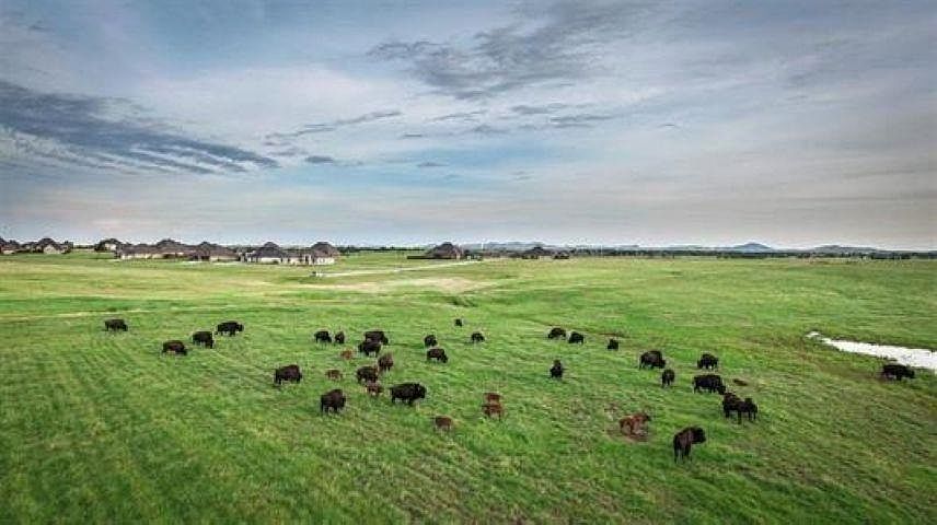 2nd image of Oak Ridge Land