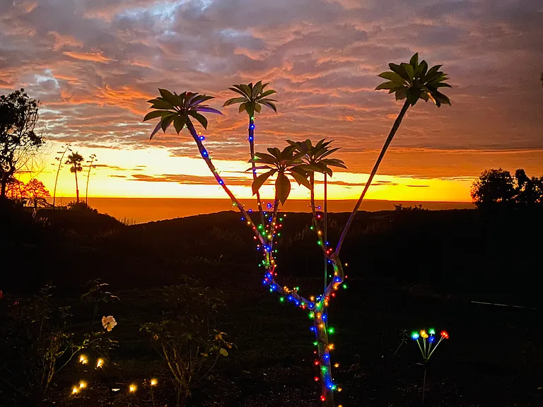 Holiday sunset