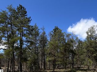 0 S Stephan Bridge Rd, Grayling, MI 49738