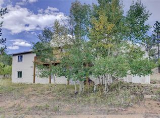 41 El Lobo Ln, Bailey, CO 80421