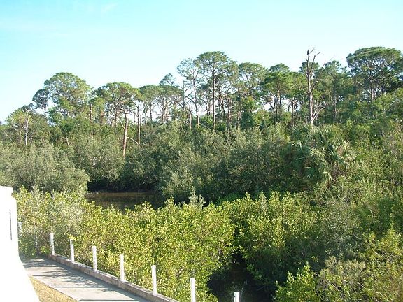 Looking left to right, just nature