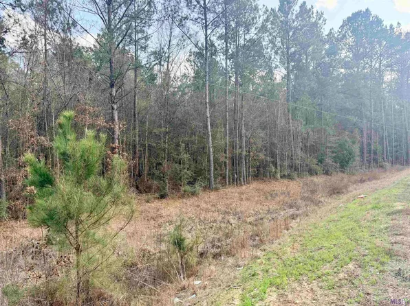 Highway 1036, Holden, LA 70744