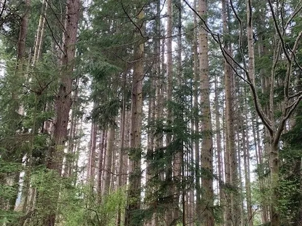 0 XXX Violet Street, Freeland, WA 98249