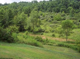 358 Mark Moser Ln, Grafton, WV 26354