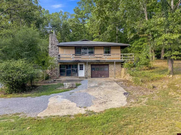 542 Capewood Ln, Midway, AR 72651