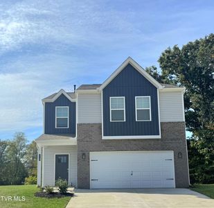 319 Cookie Loop, Gray, TN, 37615