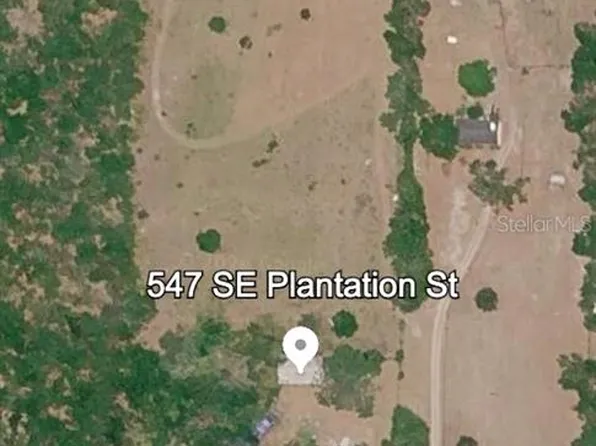 547 SE Plantation St, Lee, FL 32059