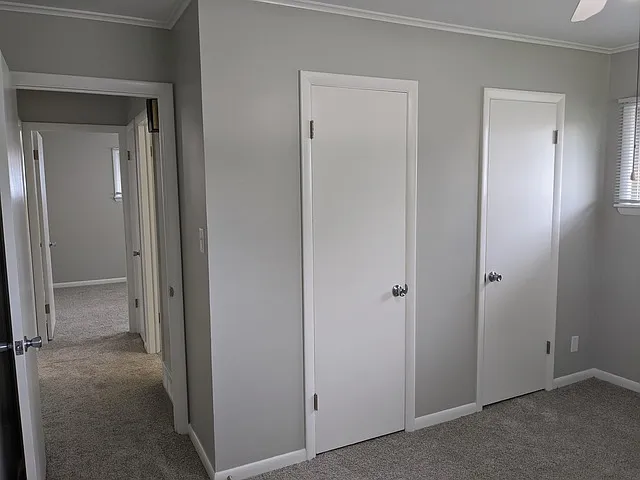 61 Pine Ct — Photo 11