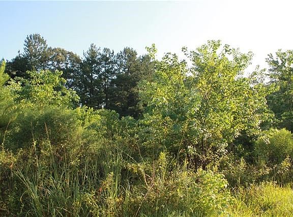 3rd image of 16525 Amanda West Ln
