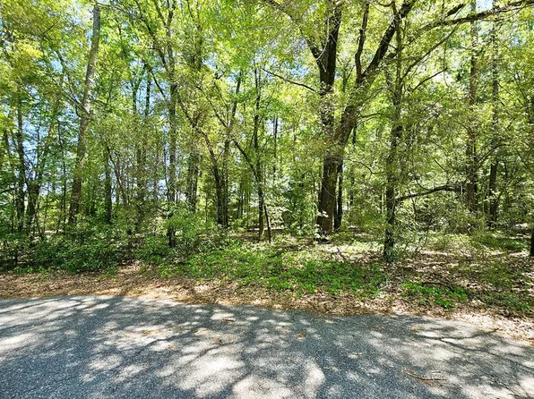 0 Reyes Strasse Lot 15, Ozark, AL 36360
